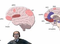 SATSO Başkanı Altuğ: E-Haciz Uygulamasında Adil ve Yapıcı Yaklaşım Şart