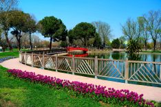 Sakarya’da 200 Bin Çiçekle Bahar Mevsimi Şehre Göz Alıcı Bir Görsellik Kazandırdı