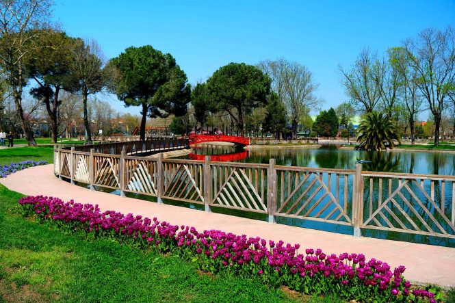 Sakarya’da 200 Bin Çiçekle Bahar Mevsimi Şehre Göz Alıcı Bir Görsellik Kazandırdı